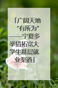 广阔天地“有所为”——宁夏多举措拓宽大学生基层就业渠道