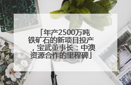 年产2500万吨铁矿石的新项目投产，宝武董事长：中澳资源合作的里程碑