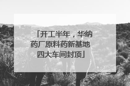 开工半年，华纳药厂原料药新基地四大车间封顶