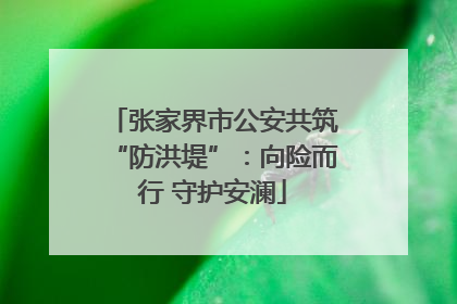 张家界市公安共筑“防洪堤”：向险而行 守护安澜
