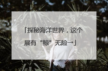 探秘海洋世界，这个展有“鲸”无险→