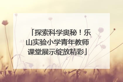探索科学奥秘！乐山实验小学青年教师课堂展示绽放精彩