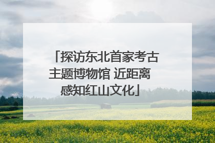 探访东北首家考古主题博物馆 近距离感知红山文化