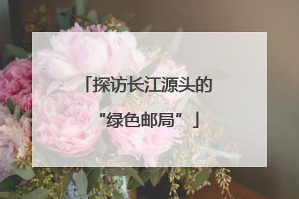 探访长江源头的“绿色邮局”