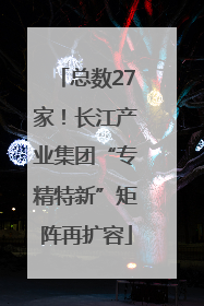 总数27家！长江产业集团“专精特新”矩阵再扩容