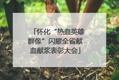 怀化“热血英雄群像”闪耀全省献血献浆表彰大会