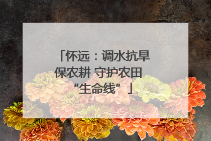 怀远：调水抗旱保农耕 守护农田 “生命线”