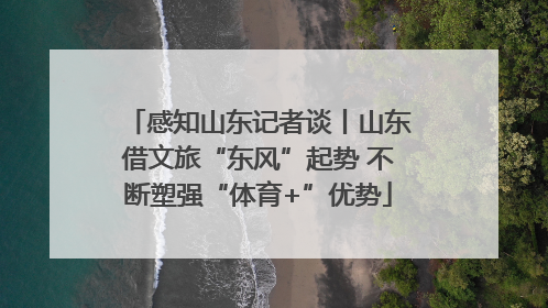 感知山东记者谈丨山东借文旅“东风”起势 不断塑强“体育+”优势
