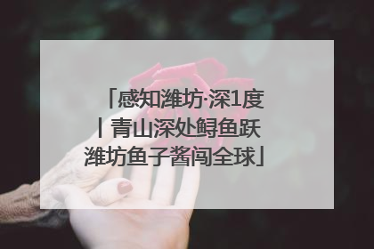 感知潍坊·深1度丨青山深处鲟鱼跃 潍坊鱼子酱闯全球