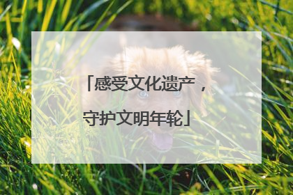 感受文化遗产，守护文明年轮