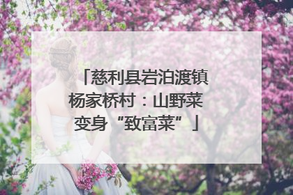 慈利县岩泊渡镇杨家桥村：山野菜变身“致富菜”