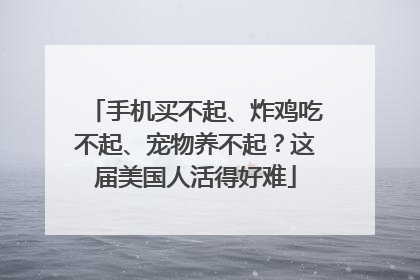 手机买不起、炸鸡吃不起、宠物养不起？这届美国人活得好难