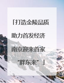 打造金陵品质 助力首发经济 南京迎来首家“胖东来”