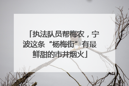 执法队员帮梅农，宁波这条“杨梅街”有最鲜甜的市井烟火