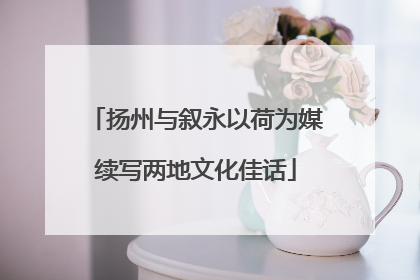 扬州与叙永以荷为媒续写两地文化佳话