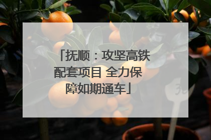抚顺：攻坚高铁配套项目 全力保障如期通车