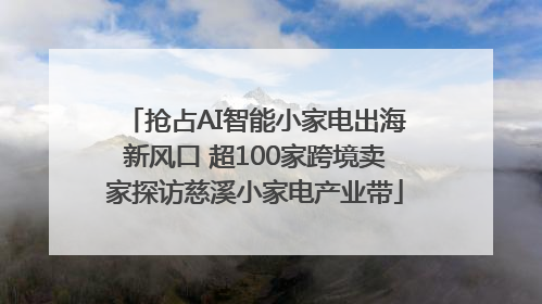 抢占AI智能小家电出海新风口 超100家跨境卖家探访慈溪小家电产业带