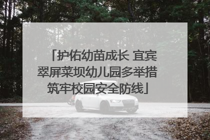 护佑幼苗成长 宜宾翠屏菜坝幼儿园多举措筑牢校园安全防线