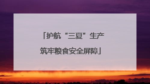 护航“三夏”生产 筑牢粮食安全屏障