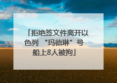 拒绝签文件离开以色列 “玛德琳”号船上8人被拘