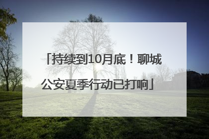 持续到10月底！聊城公安夏季行动已打响