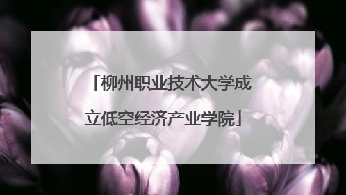 柳州职业技术大学成立低空经济产业学院