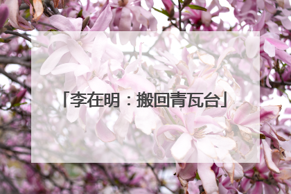 李在明：搬回青瓦台