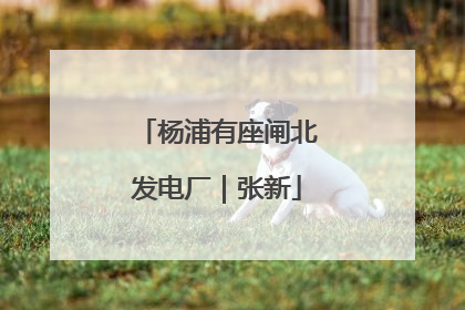 杨浦有座闸北发电厂｜张新