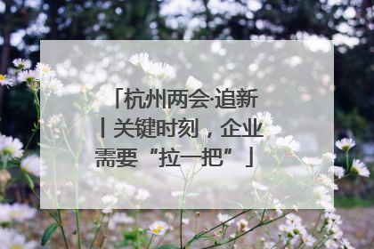 杭州两会·追新丨关键时刻，企业需要“拉一把”