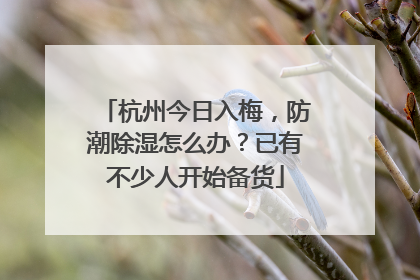 杭州今日入梅，防潮除湿怎么办？已有不少人开始备货