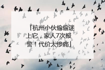 杭州小伙偷偷迷上它，家人7次报警！代价太惨痛