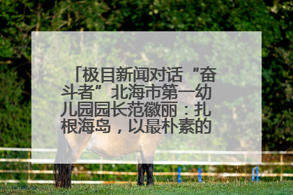 极目新闻对话“奋斗者”北海市第一幼儿园园长范徽丽：扎根海岛，以最朴素的爱践行教育的梦想