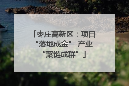 枣庄高新区：项目“落地成金” 产业“聚链成群”