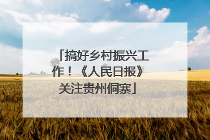 搞好乡村振兴工作！《人民日报》关注贵州侗寨