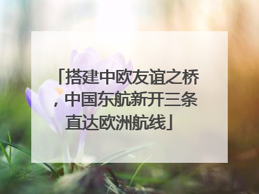 搭建中欧友谊之桥，中国东航新开三条直达欧洲航线