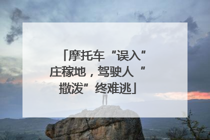 摩托车“误入”庄稼地，驾驶人“撒泼”终难逃