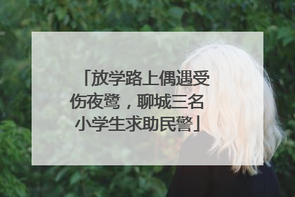 放学路上偶遇受伤夜鹭，聊城三名小学生求助民警