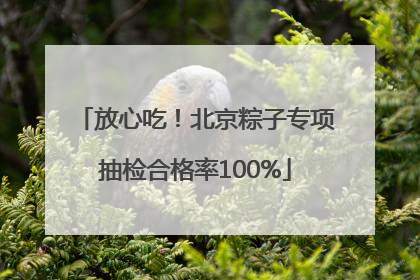 放心吃！北京粽子专项抽检合格率100%