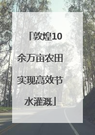 敦煌10余万亩农田实现高效节水灌溉