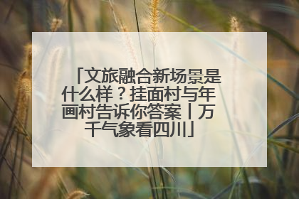 文旅融合新场景是什么样？挂面村与年画村告诉你答案丨万千气象看四川