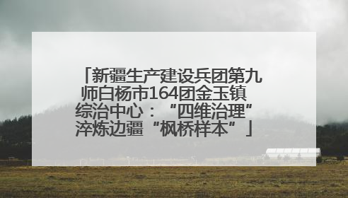 新疆生产建设兵团第九师白杨市164团金玉镇综治中心：“四维治理”淬炼边疆“枫桥样本”