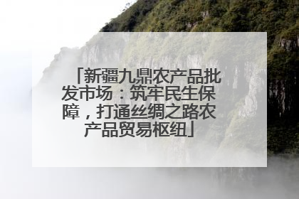 新疆九鼎农产品批发市场：筑牢民生保障，打通丝绸之路农产品贸易枢纽