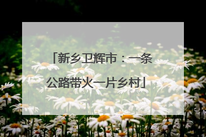 新乡卫辉市：一条公路带火一片乡村