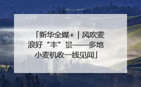 新华全媒+｜风吹麦浪好“丰”景——多地小麦机收一线见闻