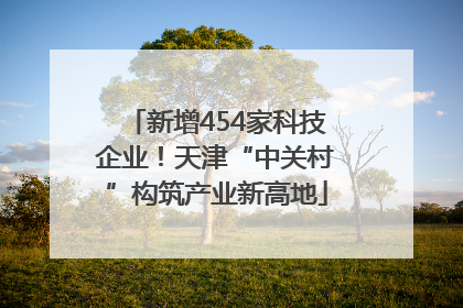 新增454家科技企业！天津“中关村”构筑产业新高地