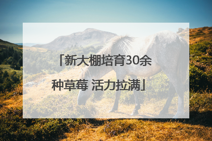 新大棚培育30余种草莓 活力拉满