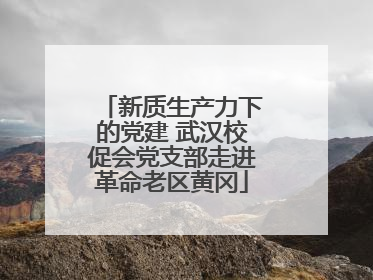 新质生产力下的党建 武汉校促会党支部走进革命老区黄冈