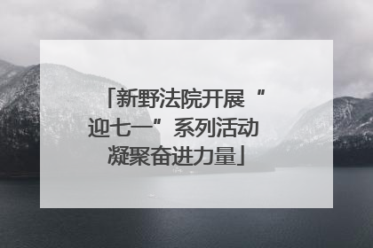 新野法院开展“迎七一”系列活动 凝聚奋进力量
