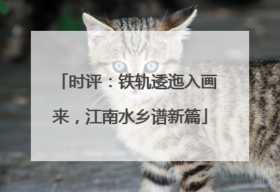 时评：铁轨逶迤入画来，江南水乡谱新篇