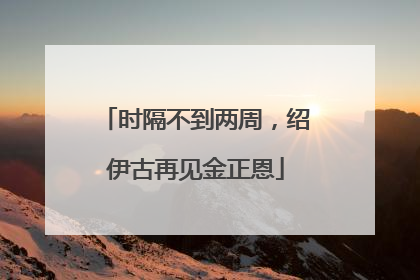 时隔不到两周，绍伊古再见金正恩